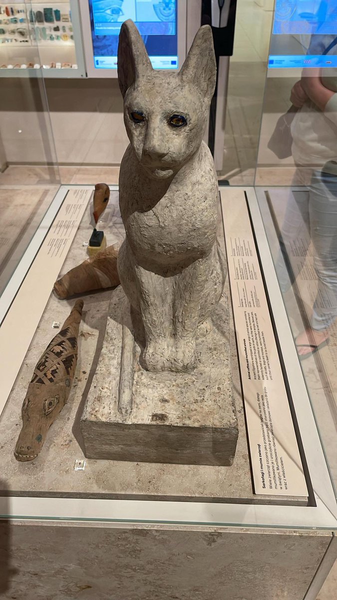 #muzeumnarodowe #warsaw #poland #nationalmuseum
We wtorki wstęp do Muzeum Narodowego w Warszawie jest bezpłatny, można tam zobaczyć min. Stańczyka czy Bitwę pod Grunwaldem Matejki. Polecam ❣️