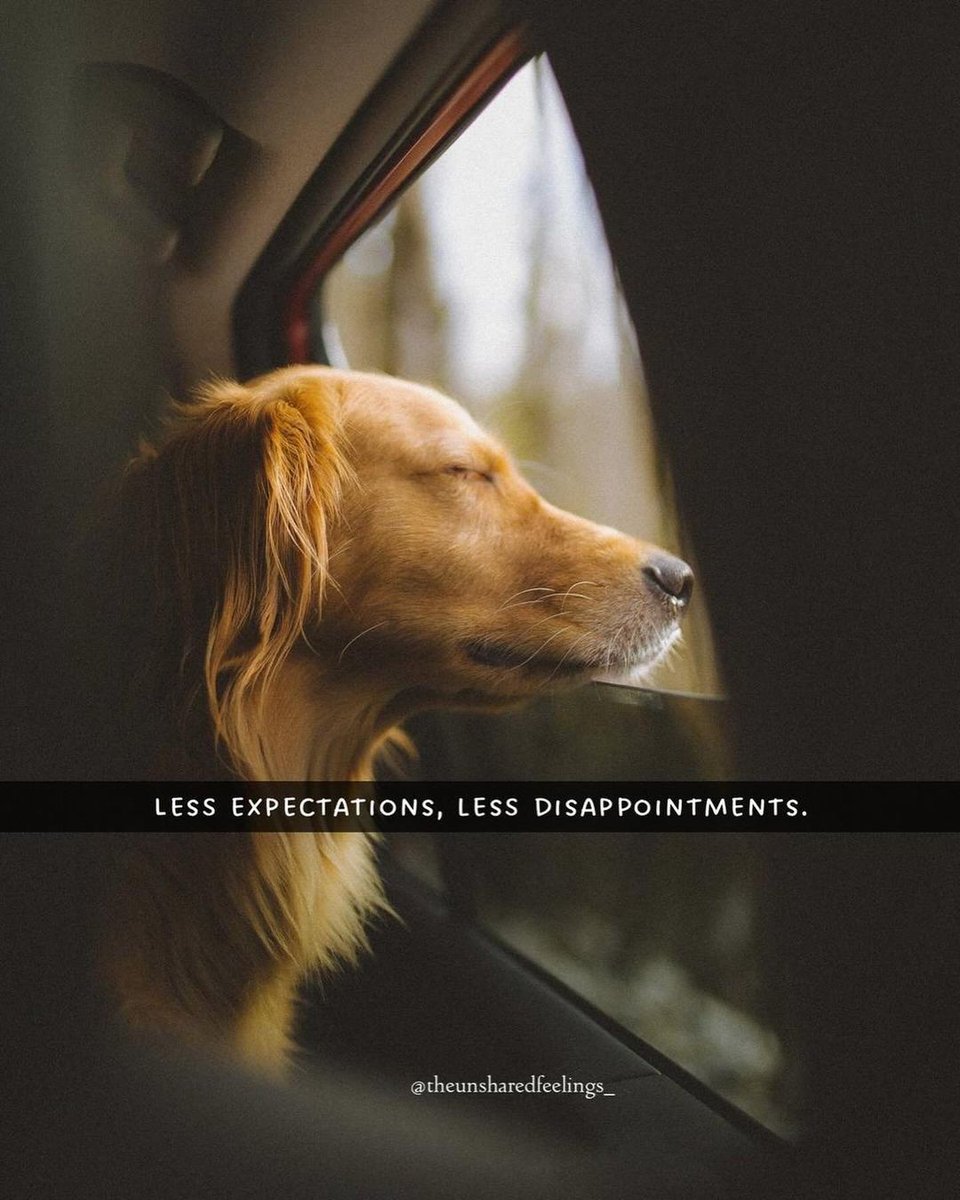 Mind_Essentials's tweet photo. https://t.co/QiGmv0AgO2