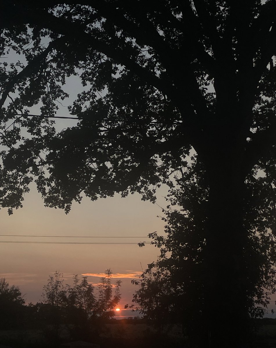 _ddaengtear's tweet photo. #SunsetForTae https://t.co/wr70YQfkQa