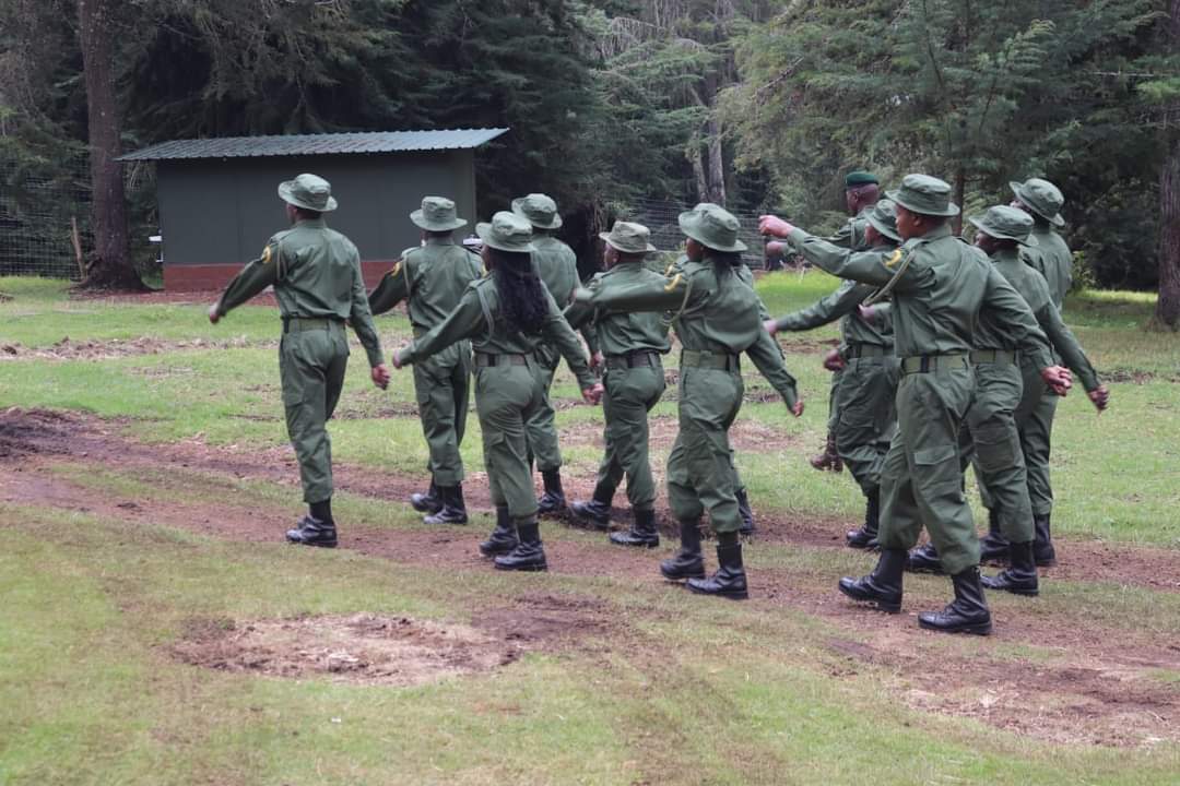 DiscoverMeru's tweet image. Yesterday the CECM Trade, Tourism, and Cooperatives, Harriet Makena Kiambati, attended the pass-out ceremony at the Meru Bongo and Rhino Sanctuary for newly trained recruits in Bongo conservation.

discovermeru.co.ke/pass-out-for-n…

@KeForestService
@KWSKenya
#Merucounty #KaribuMeru