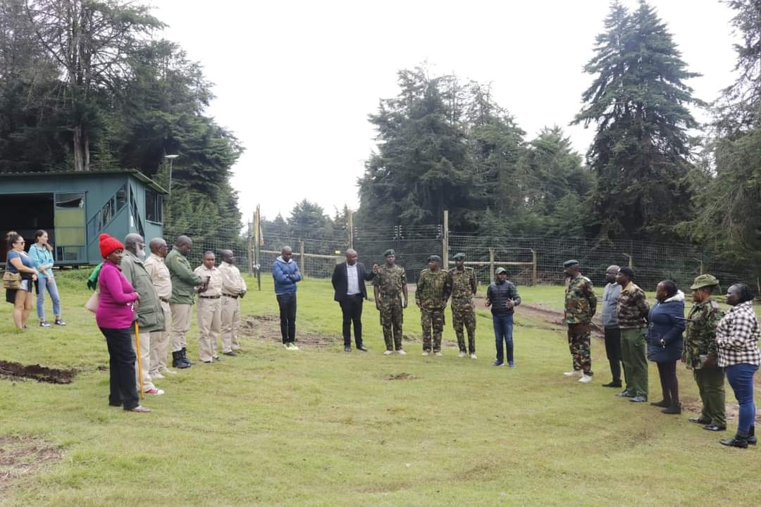 DiscoverMeru's tweet image. Yesterday the CECM Trade, Tourism, and Cooperatives, Harriet Makena Kiambati, attended the pass-out ceremony at the Meru Bongo and Rhino Sanctuary for newly trained recruits in Bongo conservation.

discovermeru.co.ke/pass-out-for-n…

@KeForestService
@KWSKenya
#Merucounty #KaribuMeru