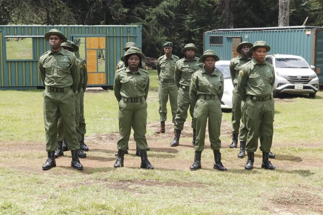 DiscoverMeru's tweet image. Yesterday the CECM Trade, Tourism, and Cooperatives, Harriet Makena Kiambati, attended the pass-out ceremony at the Meru Bongo and Rhino Sanctuary for newly trained recruits in Bongo conservation.

discovermeru.co.ke/pass-out-for-n…

@KeForestService
@KWSKenya
#Merucounty #KaribuMeru