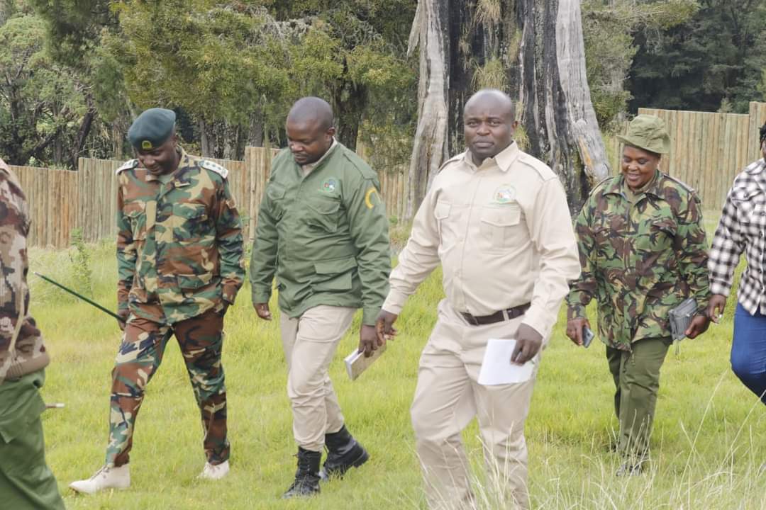 DiscoverMeru's tweet image. Yesterday the CECM Trade, Tourism, and Cooperatives, Harriet Makena Kiambati, attended the pass-out ceremony at the Meru Bongo and Rhino Sanctuary for newly trained recruits in Bongo conservation.

discovermeru.co.ke/pass-out-for-n…

@KeForestService
@KWSKenya
#Merucounty #KaribuMeru