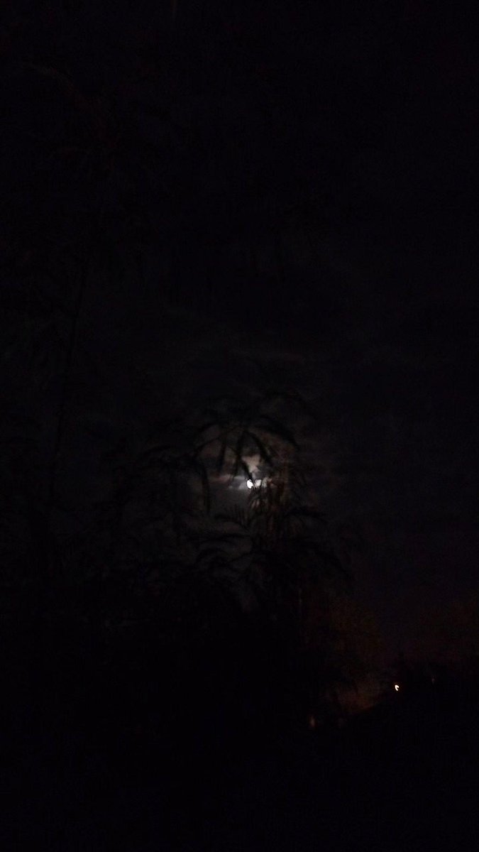 MikiBymen's tweet photo. Bagaimana kabarmu? 
Bulan.. https://t.co/medYE515oV