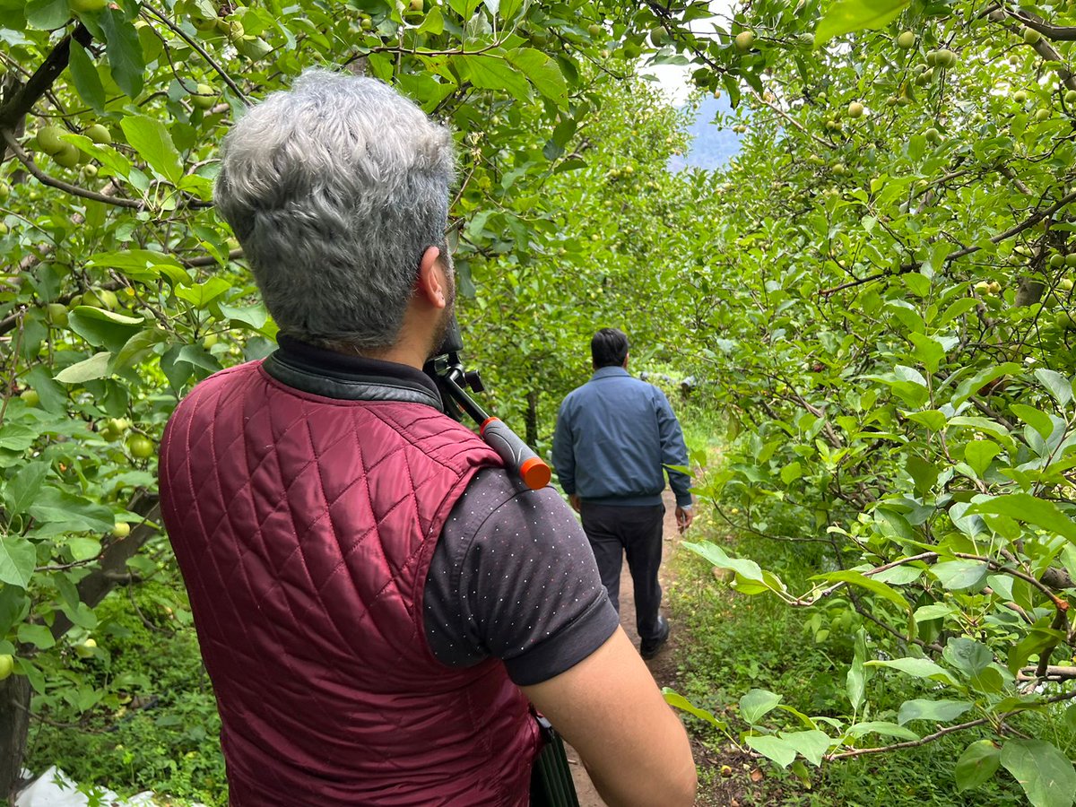 Agricultura Puebla tweet media