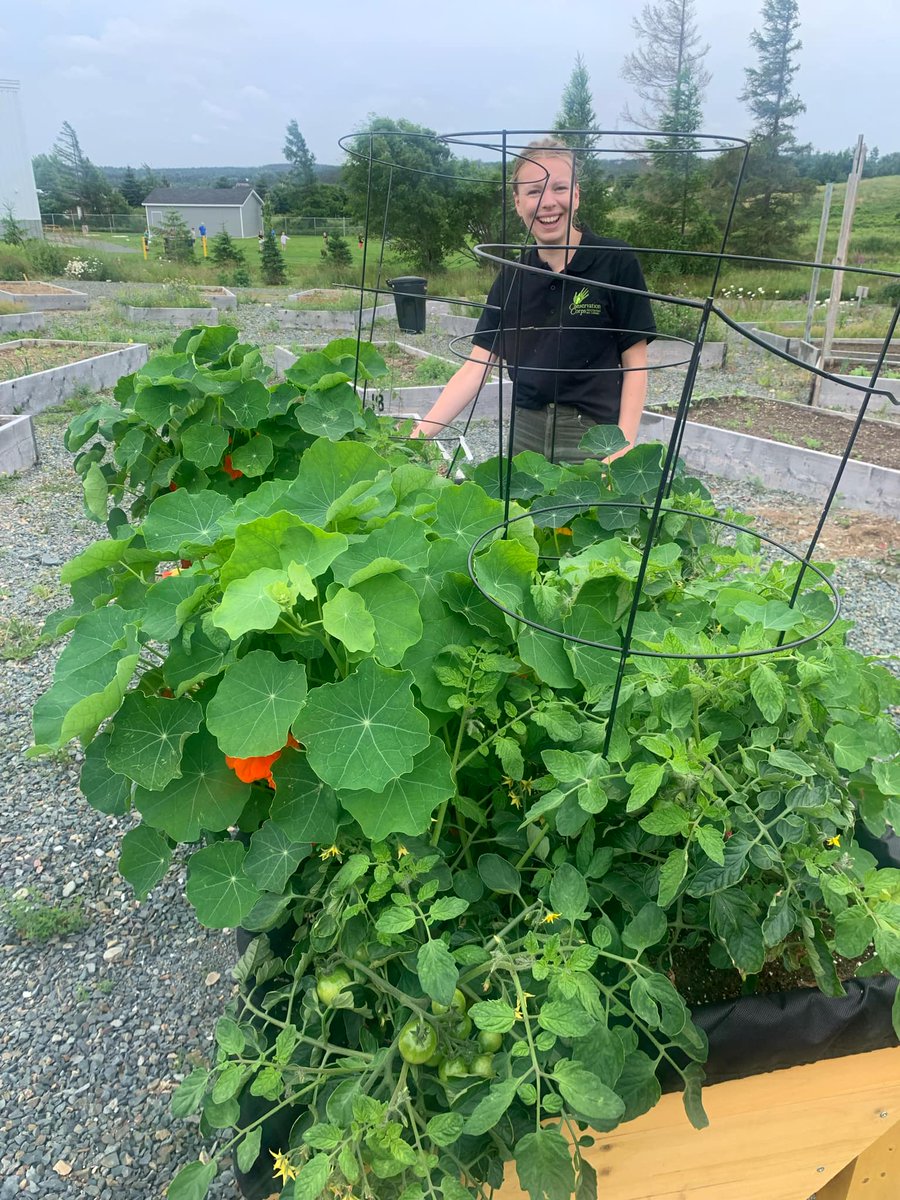 Conservation Corps Newfoundland and Labrador tweet media