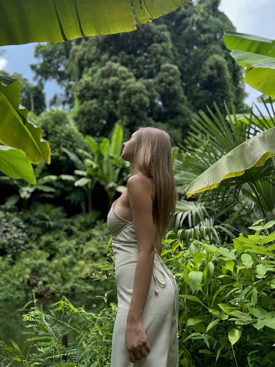 Klaonica (@klaonica_) on Twitter photo 
