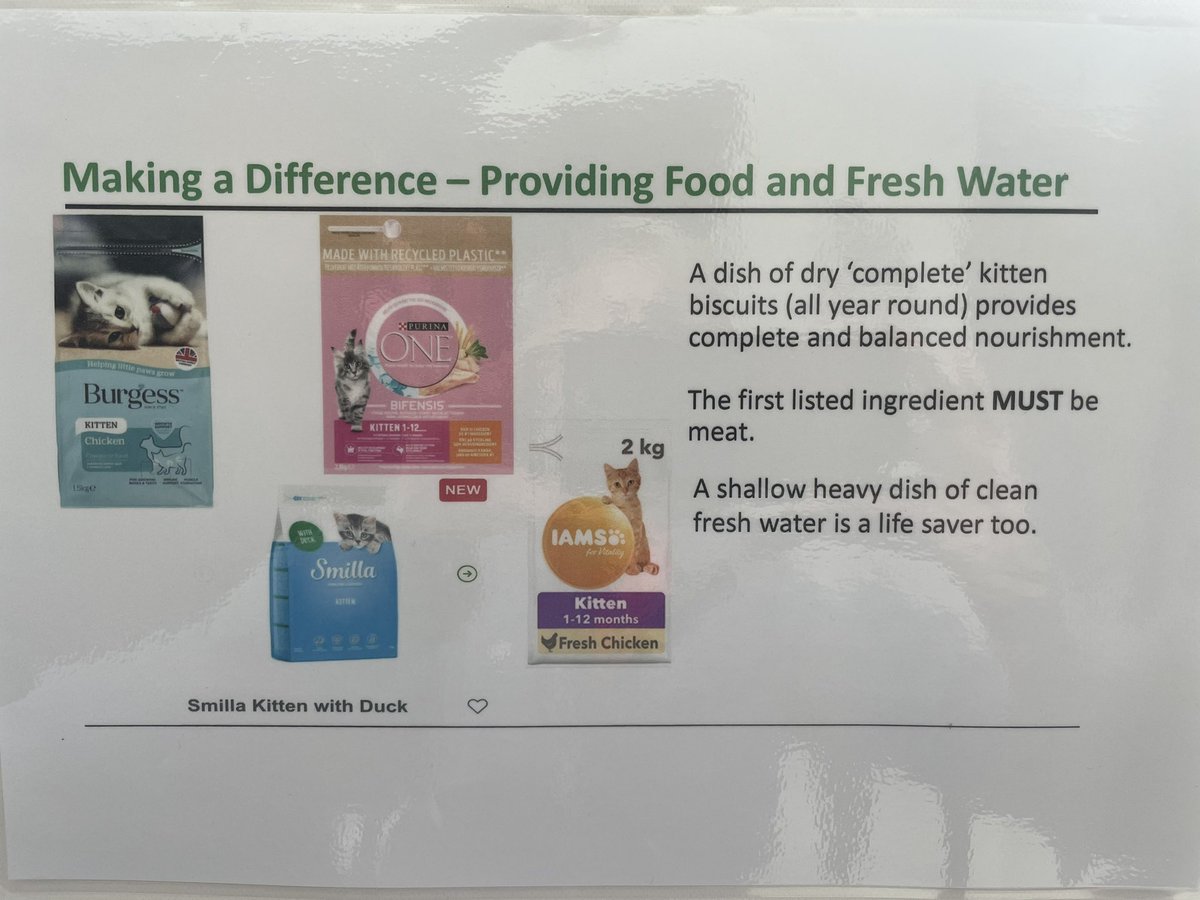 Poor Lando just 297g found lying in the middle of the road (thankfully a dead end) trying to get warmth from the sun. My lovely neighbour saw this precious boy on his morning walk. Lando is emaciated &amp; severely dehydrated. Can you help to save a life by providing food &amp; water?