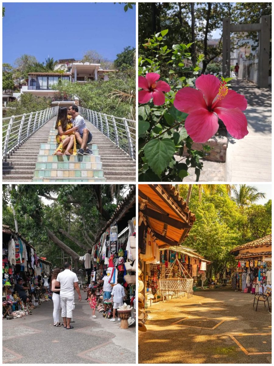 IslaCuale's tweet photo. Bienvenido Verano - Welcome Summer 2024 😎🌞
Descubre Este Paraiso - Discover this Paradise🌸🌺
JULIO-JULY 2024
#Vallarta #puertovallarta2024
#wearepuertovallarta
#PuertoVallarta #Jalisco #Mexico
#VisitMexico #welovepv #jaliscoesméxico #PiensaenMexico #ViajaporMexico #NoTeRajes https://t.co/QPBsrXJLoR