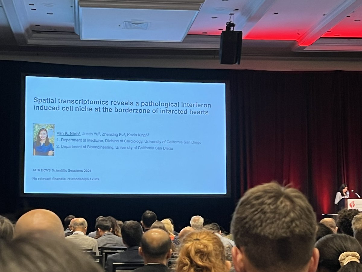 HanZhuMD's tweet image. Last but not least, Dr. Van Ninh presents beautiful work using spatial transcriptomics to describe interferon-mediated cellular crosstalk in the infacted heart #BCVS @AHAMeetings @AHAScience @BCVSearlyCareer
