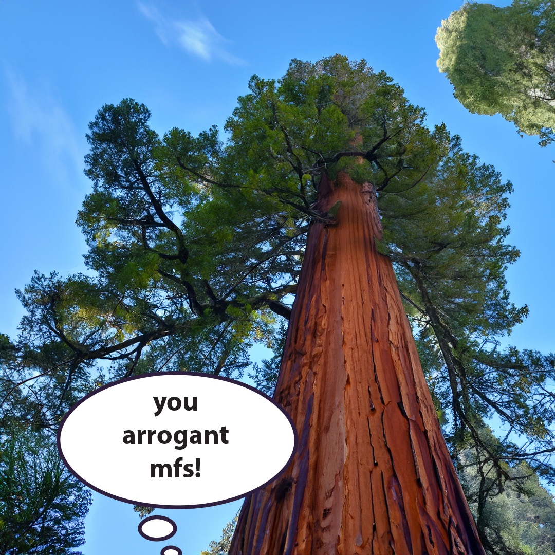 Innuendo845 (@innuendoflight) on Twitter photo 