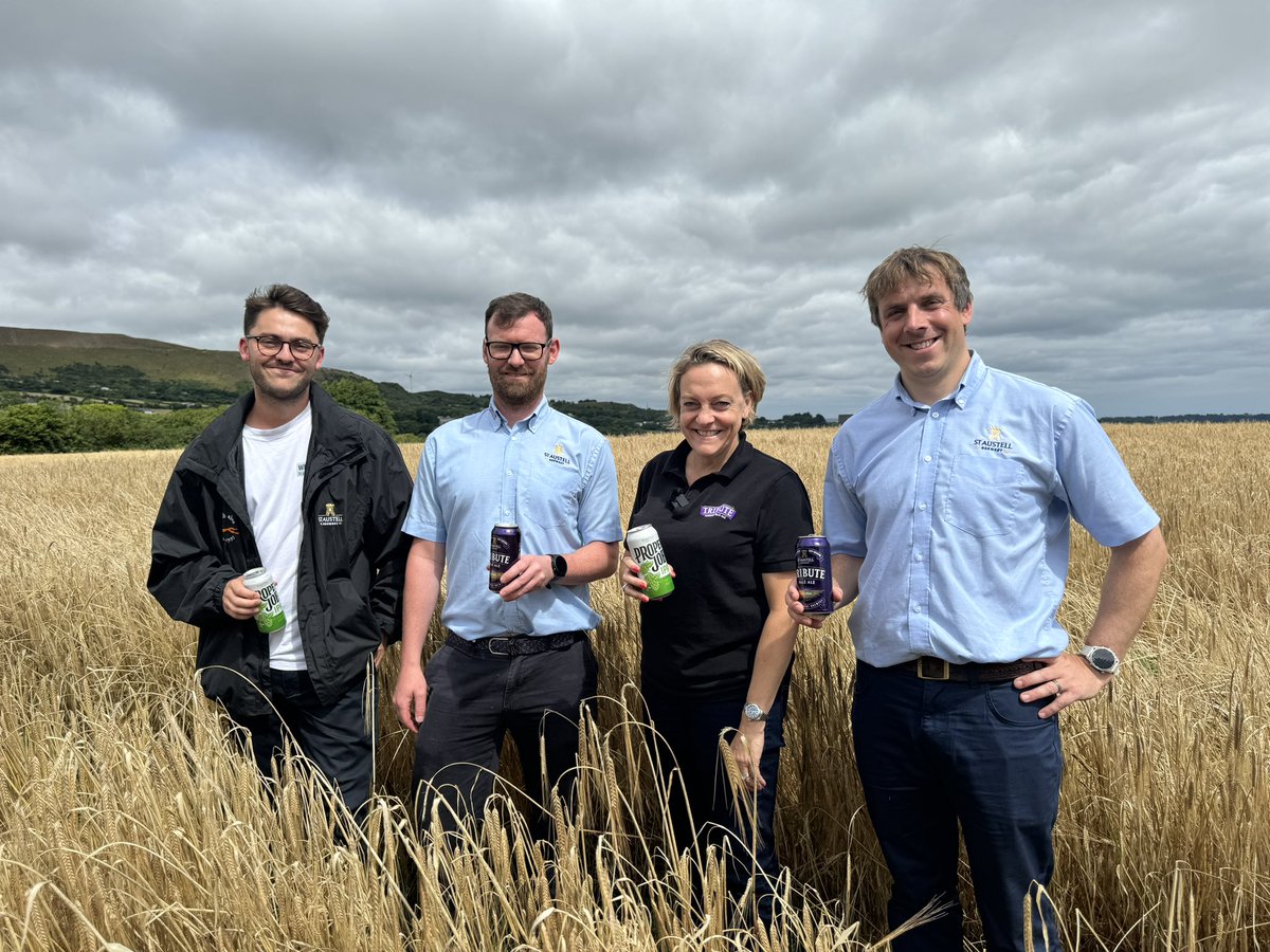 Georgina Young (@brewergeorgey) on Twitter photo Annual barley walk to review our Cornish Maris and Laureate ๐๐๐ฉต๐ปonly 6km from <a href="/StAustellBrew/">St Austell Brewery</a> <a href="/SimpsonsMalt/">Simpsons Malt Ltd.</a> <a href="/RobinAppelLtd/">Robin Appel Ltd</a> Annual barley walk to review our Cornish Maris and Laureate ๐๐๐ฉต๐ปonly 6km from <a href="/StAustellBrew/">St Austell Brewery</a> <a href="/SimpsonsMalt/">Simpsons Malt Ltd.</a> <a href="/RobinAppelLtd/">Robin Appel Ltd</a>
