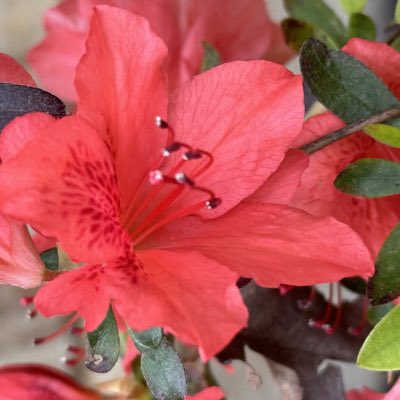 auddevoll's tweet image. #NewProfilePic