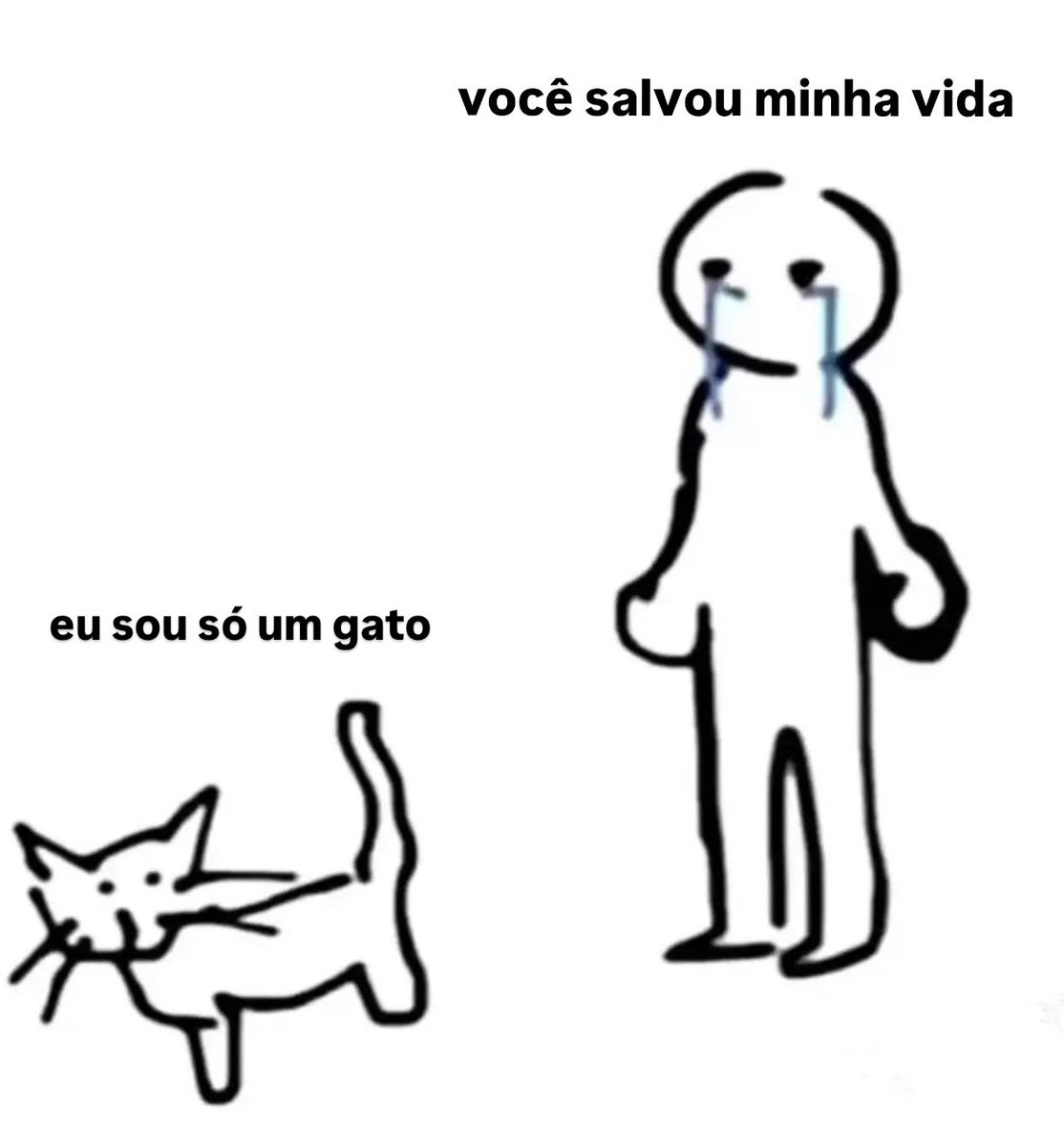 gatinarios's tweet image. 