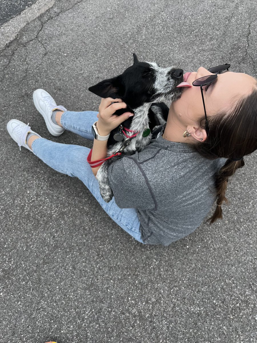 SyracuseCrunch's tweet photo. We spent the morning volunteering to walk some of the cutest adoptable pups at Helping Hounds Dog Rescue. 🐶

If you’re looking to add a pet to your family, check out some of these lovable dogs waiting for their furever homes. https://t.co/OU7sVm7cFS