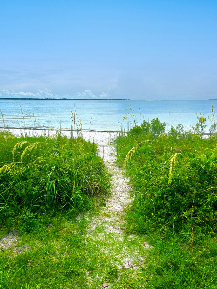 destination_pc's tweet photo. A pathway to the St. Andrews Bay is a pathway to paradise in Panama City ποΈ
#LovePC #LoveFl #DestinationPanamaCity https://t.co/FWR64WNiWc