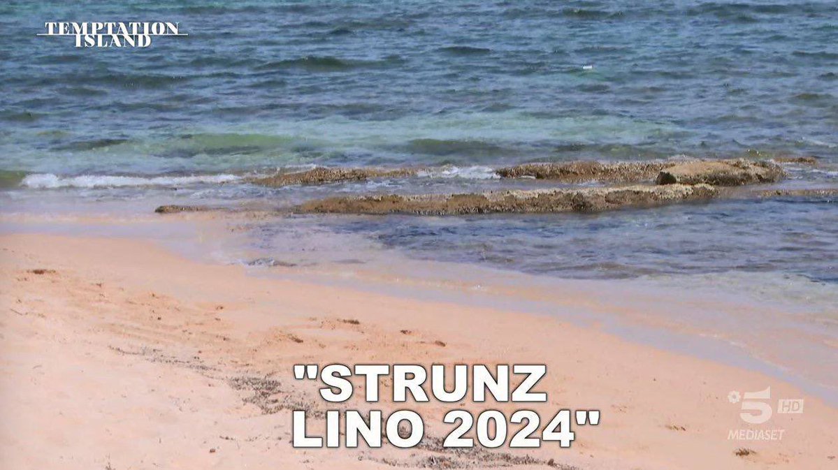 Sarah14385's tweet photo. Riassunto perfetto 
#Temptationisland https://t.co/BoJjoGxbRS