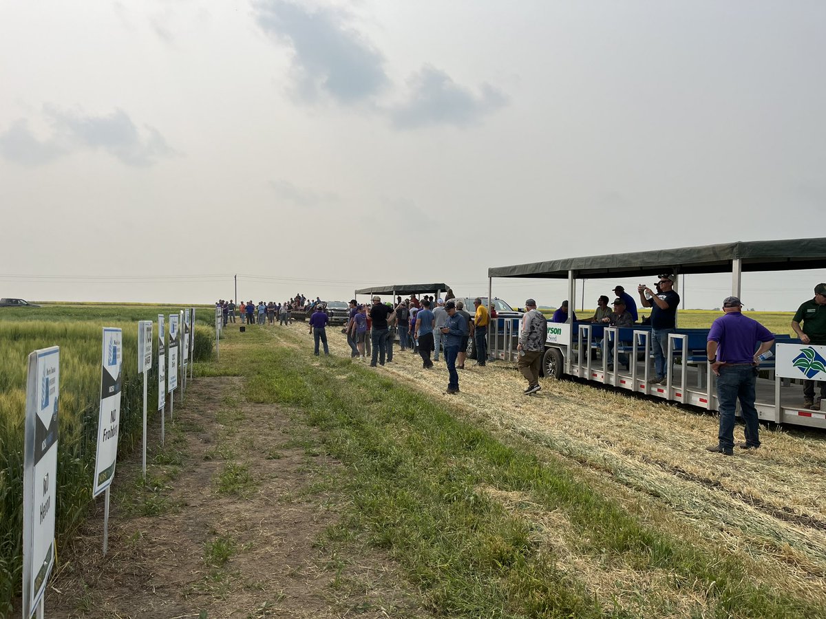 Troy Gerding (@lcswheatgeeksnp) on Twitter photo It was a pleasure to be able to attend and speak at the <a href="/birdsallgrain/">Mark Birdsall</a> plot tour this past Monday! I always enjoy being able to share information on <a href="/LimagrainWheat/">LimagrainWheat</a> varieties local producers.
#limagraincerealseeds #springwheat #wheat #smashingplots It was a pleasure to be able to attend and speak at the <a href="/birdsallgrain/">Mark Birdsall</a> plot tour this past Monday! I always enjoy being able to share information on <a href="/LimagrainWheat/">LimagrainWheat</a> varieties local producers.
#limagraincerealseeds #springwheat #wheat #smashingplots