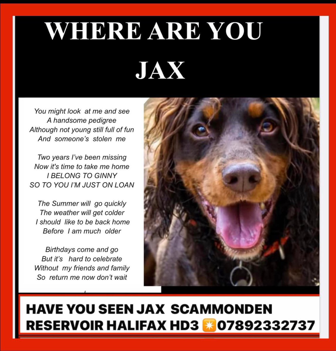 #SpanielHour 

JAX IS STILL MISSING since 6/5/22 
SCAMMONDEN RESERVOIR #HALIFAX 
Male/adult brown&amp;tan #CockerSpaniel 
DOCKED TAIL 
⛔️HE WAS WEARING A JOULES YELLOW &amp; NAVY COLLAR AND ID TAG THAT DAY⛔️
Chipped &amp; neutered 

AND VERY MUCH LOVED &amp; MISSED 💔

<a href="/RachaelB100/">Rachael</a> <a href="/qu1ncey/">Liz Quinn</a>