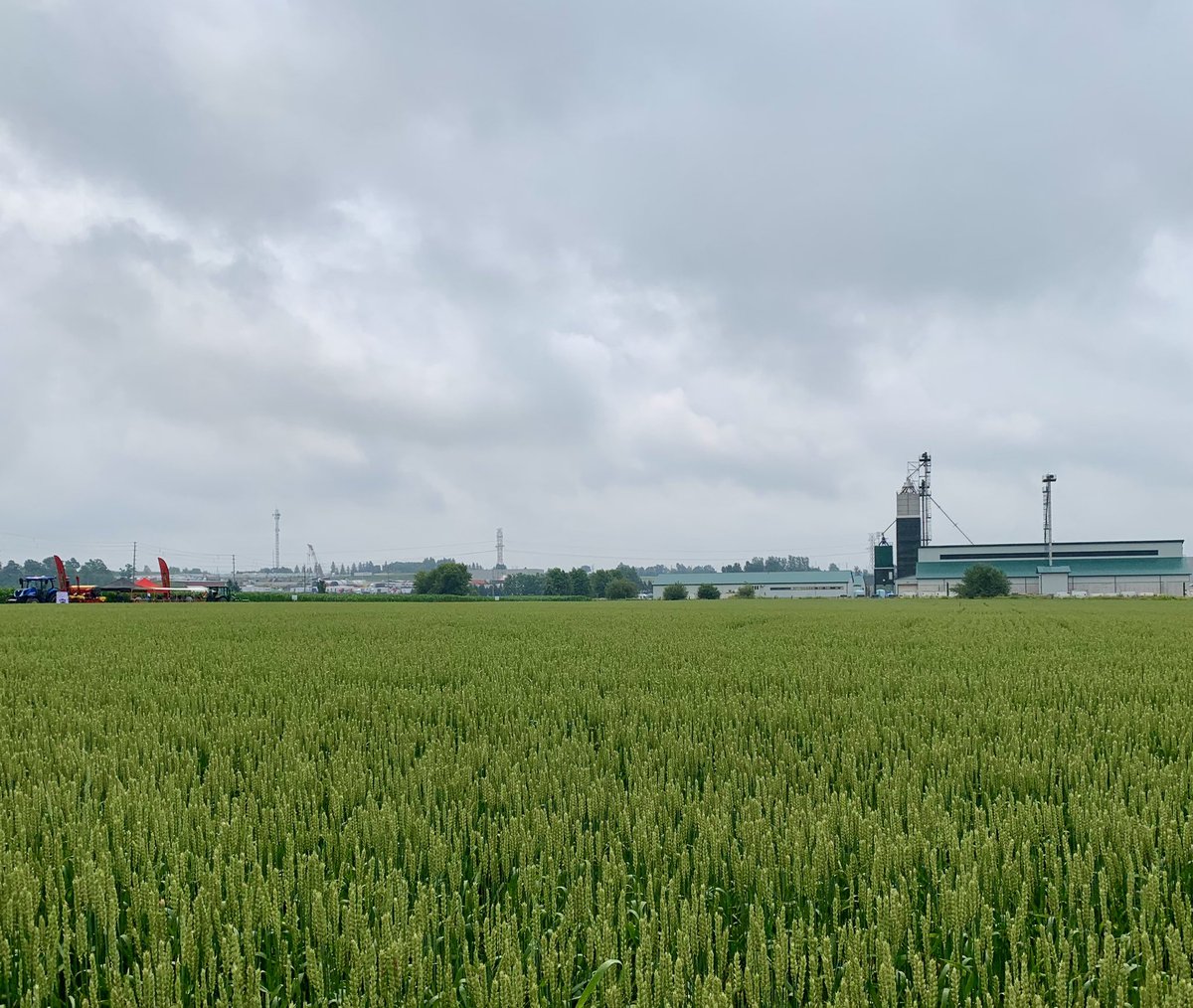 Great morning of agronomic conversations at the 2024 #watchitgrow Expo Day. A huge thanks to all of our speakers and industry partners! As well as the growers who braved the rainy weather to join us at the #HolmesAgroResearchFarm 

<a href="/PRIDESeeds/">PRIDE Seeds</a> <a href="/VaderstadNA/">Vaderstad North America</a> @OMAFRA @RobertsFarmEq