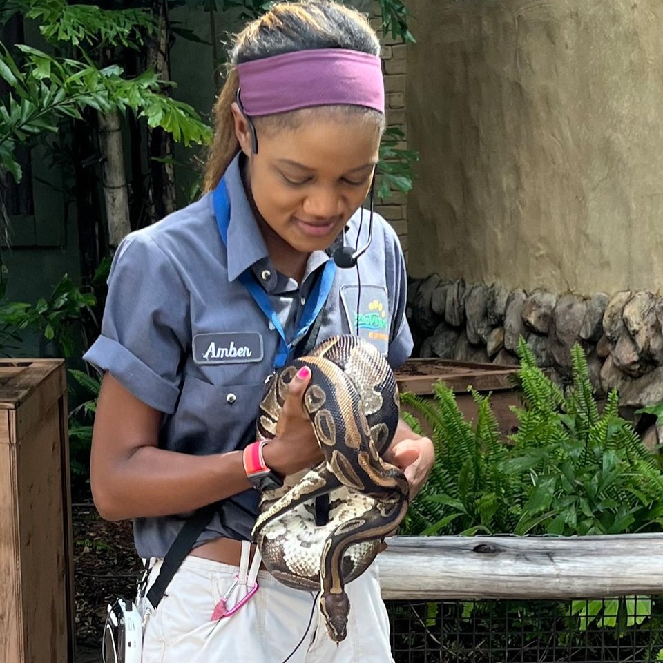 zoos_aquariums's tweet photo. In honor of #NationalZookeeperWeek, we would love to highlight an animal care professional with the ambassador team at @ZooTampa, Amber Smith! Learn more about how Smith plays an essential role in connecting people to wildlife in Connect: https://t.co/UO21b9Ef1a
#KeeperWeek🐍🦂 https://t.co/thEgyHkhoj