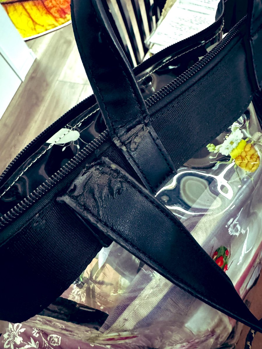 a5UJ03's tweet photo. 毎年、夏になると出す、お気に入りの虫のリュック。
久しぶりに使ったら、劣化してる事に気づいた(;ω;)ボロボロじゃないか‥‥
この #InsectGarden のシリーズ大好きで他のクリアバックも何個か持ってるけどリュックが1番使いやすいんだよねぇ https://t.co/8NTvOztkR2
