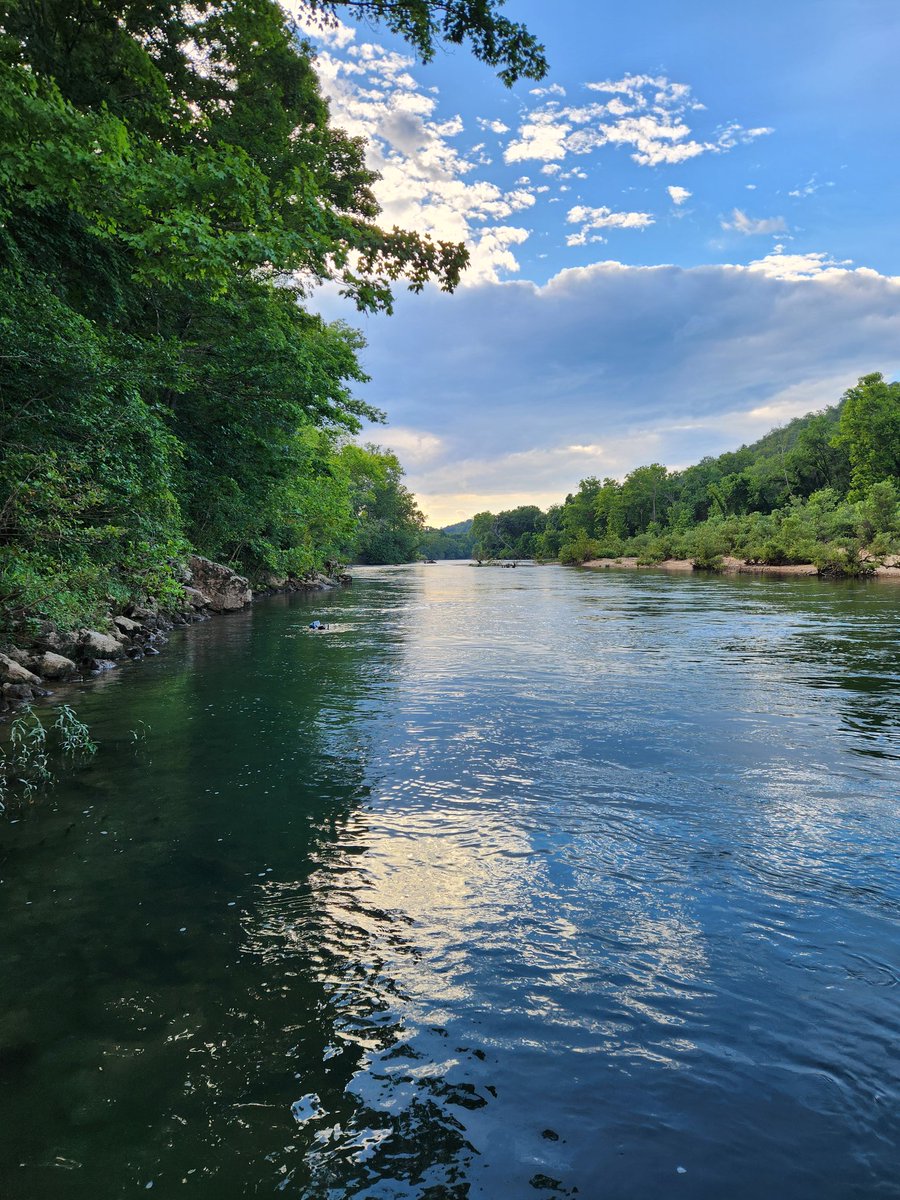 JacobWesthoff's tweet image. Our mussel surveys on the Current and Jack's Fork are almost wrapped up.  Our lab found lots of interesting things despite the overall scarcity of mussels in the system.