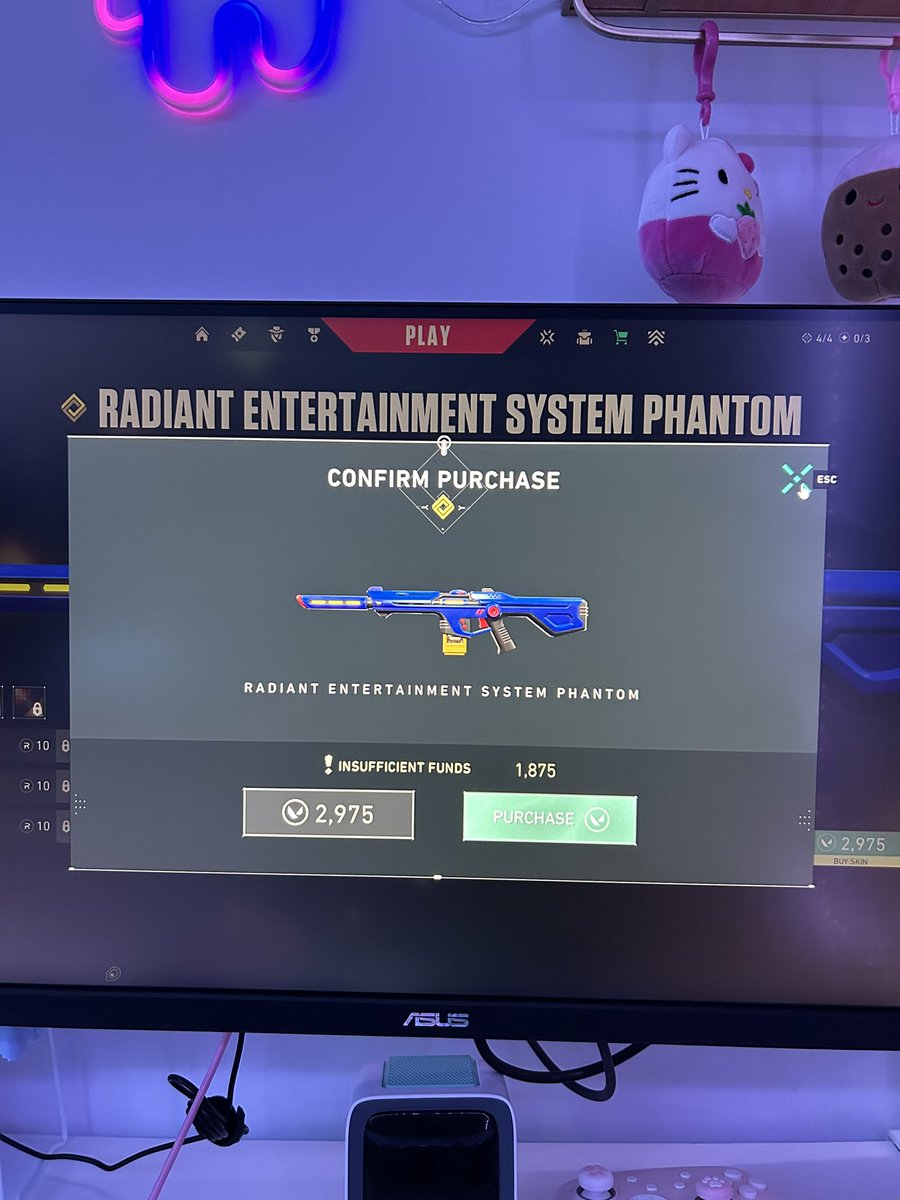 RushelynM's tweet photo. why are skins so expensive 😟 https://t.co/QRq9sOS4y2