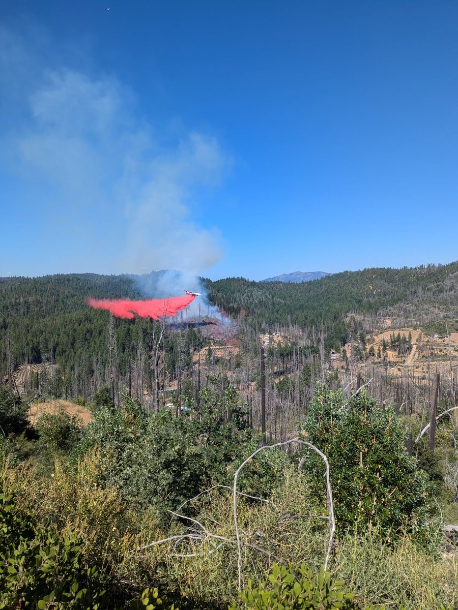 ShastaTrinityNF's tweet photo. The Pipeline Fire is 5 acres with a low rate of spread. Engine crews are actively suppressing the fire from the ground and helicopter and fixed wing aircraft are providing support. The cause of the fire is under investigation.
#PipelineFire #PostMountain #SouthForkManagementUnit https://t.co/gZLOpzqSEx