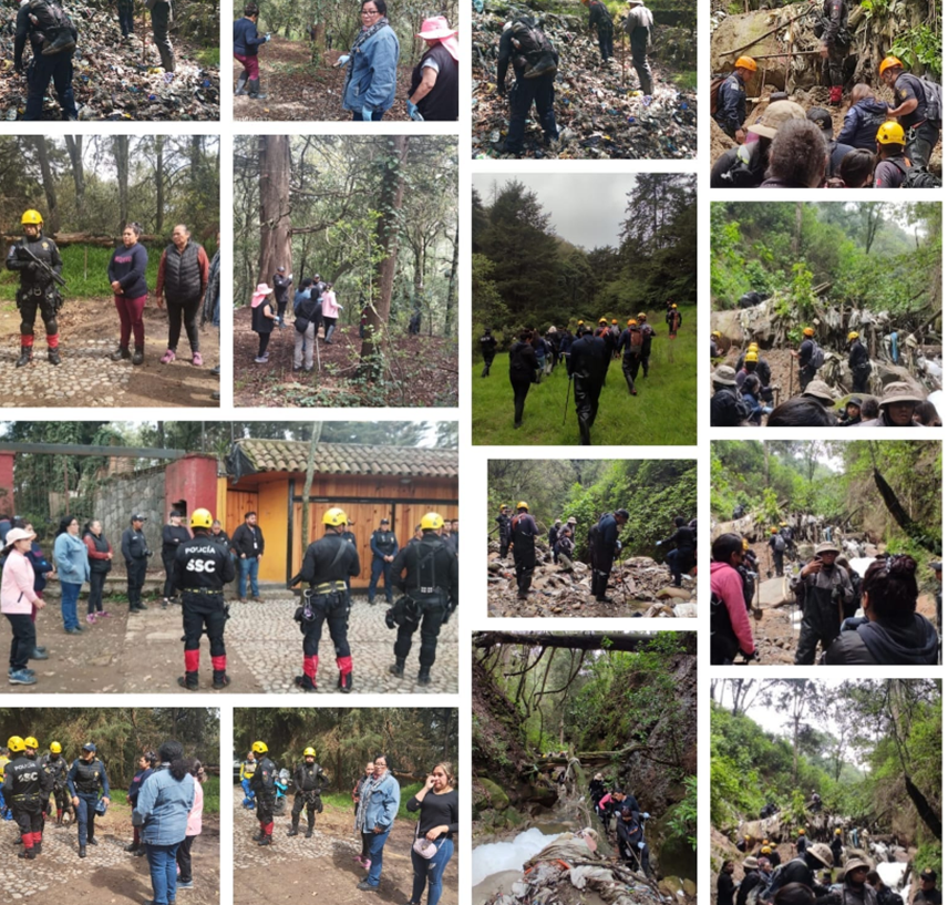 Búsqueda en campo
Cuajimalpa , Álvaro Obregón; barrancas
Fuerza Mariposa