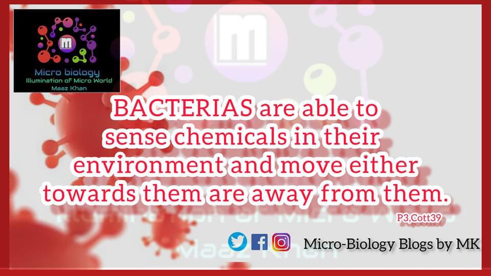 DoctorOfMicrobe's tweet photo. world of #Bacteria, these microscopic organisms are truly #Incredible. From #Microbiology to #Biotechnology, bacteria play a crucial role in various fields. They are the #UnsungHeroes of #Nature, contributing to everything from #Decomposition to #NitrogenFixation. https://t.co/csN8SGp9SH