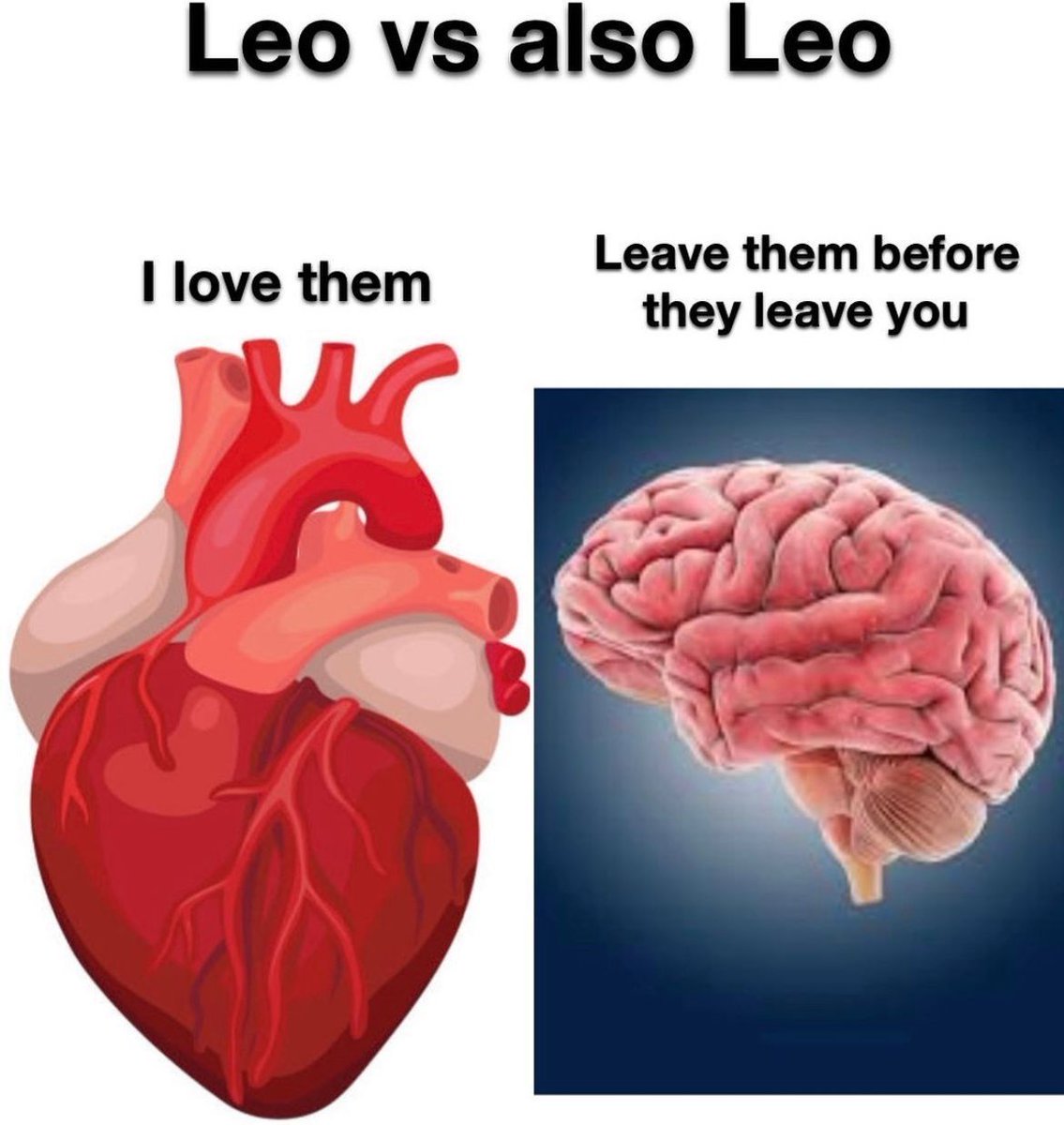 Leo_Tweets tweet picture