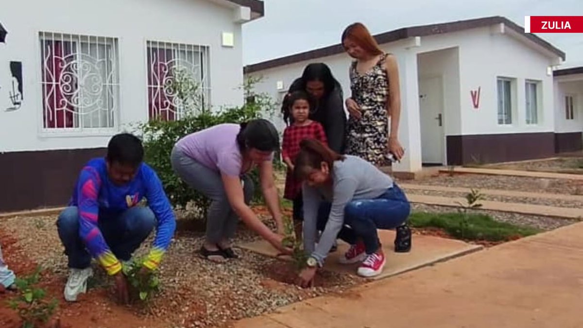 Minhvi_Oficial's tweet photo. #Importante || En el marco de la celebración de los #70Años de vida del Cmdte. Se realizó una siembra reflexiva y concientizadora del legado de #Chávez en la transformación de la vida de los habitantes de diferentes estados de Venezuela 
#CunaDeLibertadores https://t.co/p7IynjAGAU