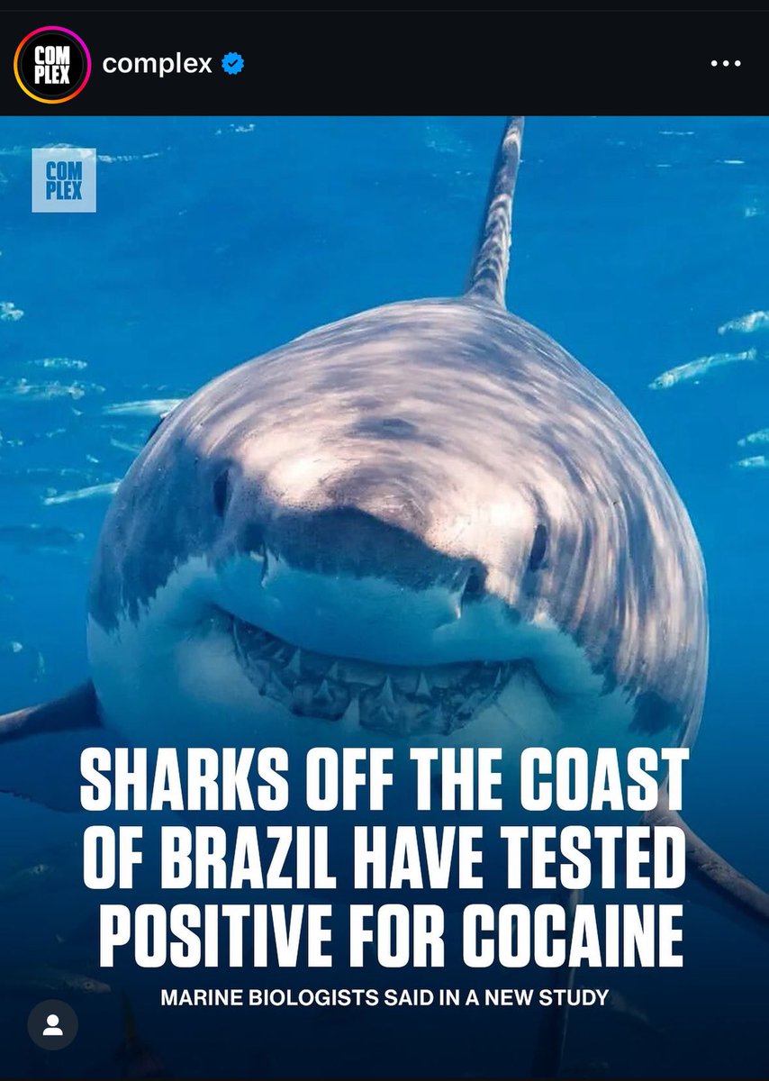 Steven Renderos tweet media