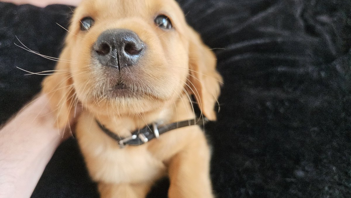 I have an announcement.