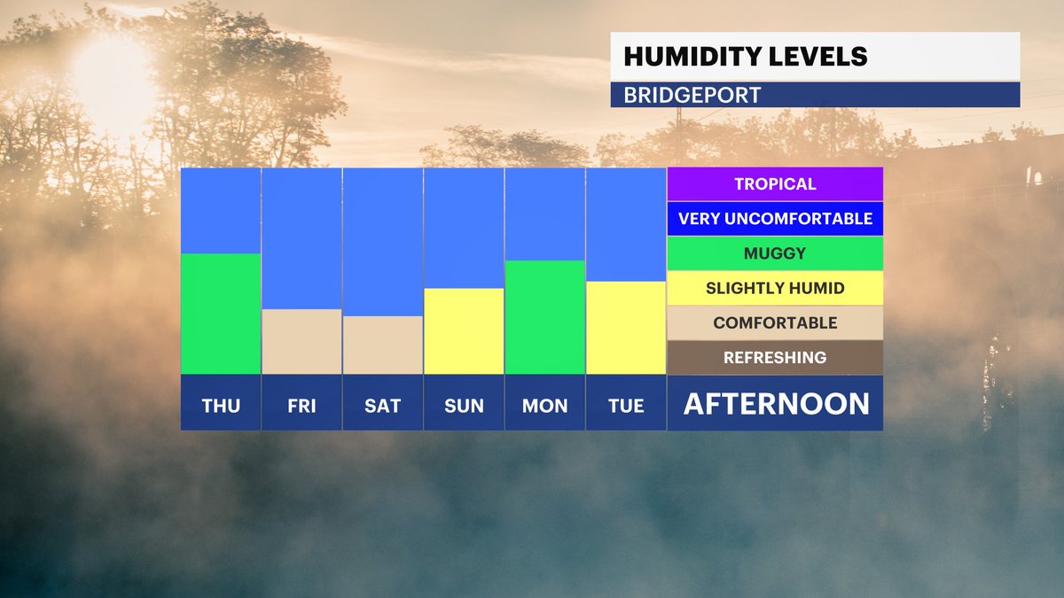 MichelePowersWx's tweet photo. 🥵Soupy summer so far... at least this week wasn't in the 90s. Check out out this story on @News12CT by my colleague @AWxNYC https://t.co/YZBCv95K22
#n12stormwatchers #humidsummer #ctweather #ct #summer2024 https://t.co/MO37Z2FYCm
