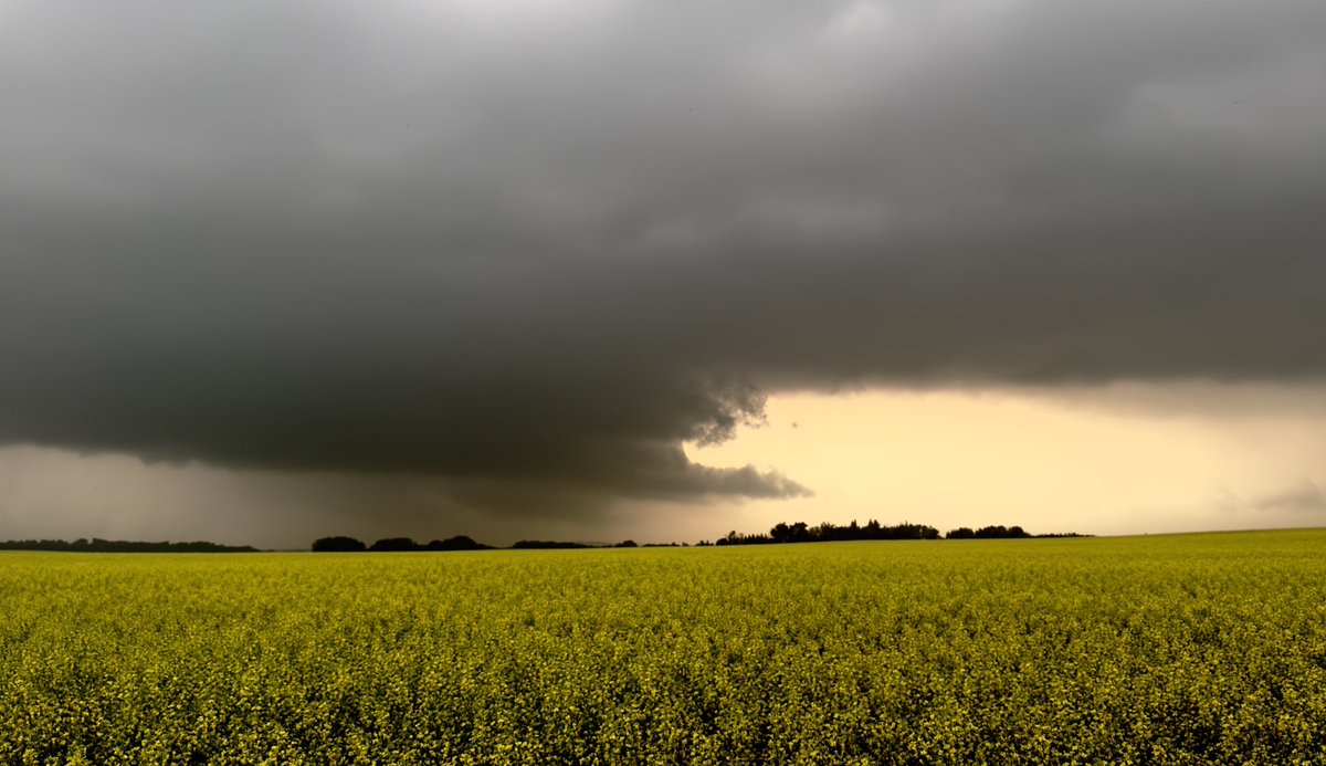 Dianachaser tweet media