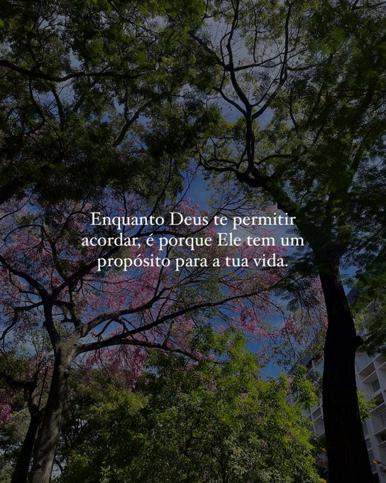 Frases (@umfilosofocitou) on Twitter photo 