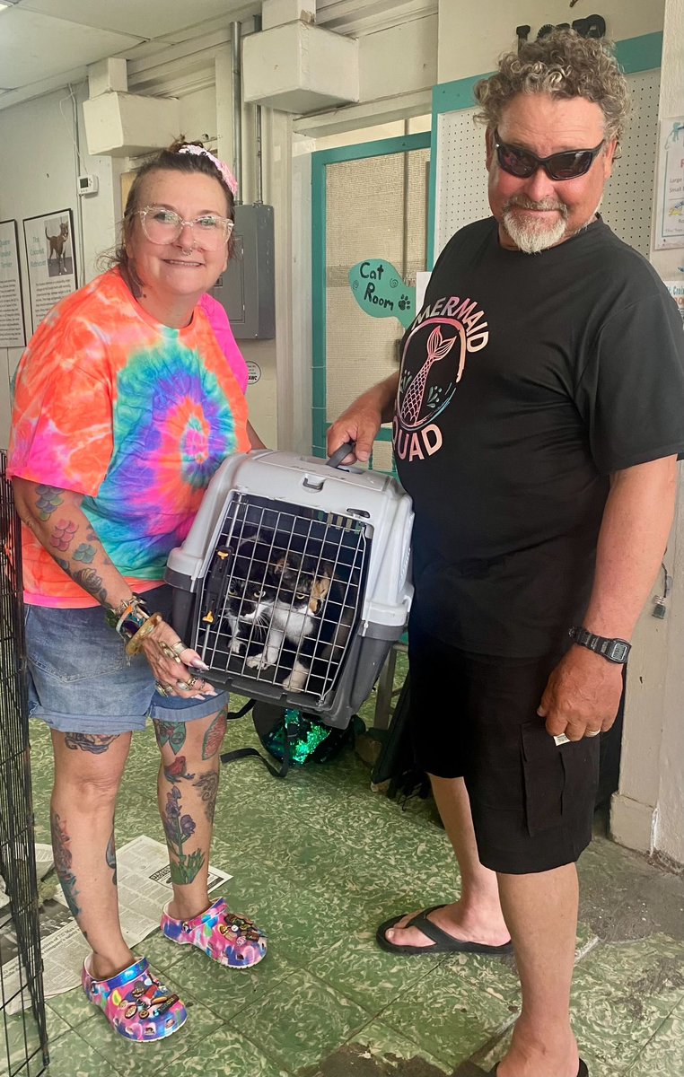 StCroixAWC's tweet photo. Every adoption has a story. These two kittens, Cruella and Two-face, are on to their new home, to their new story, as unique and interesting as they themselves. #SCAWC #AnimalRescue #CatAdoption https://t.co/c9fS71DNaF