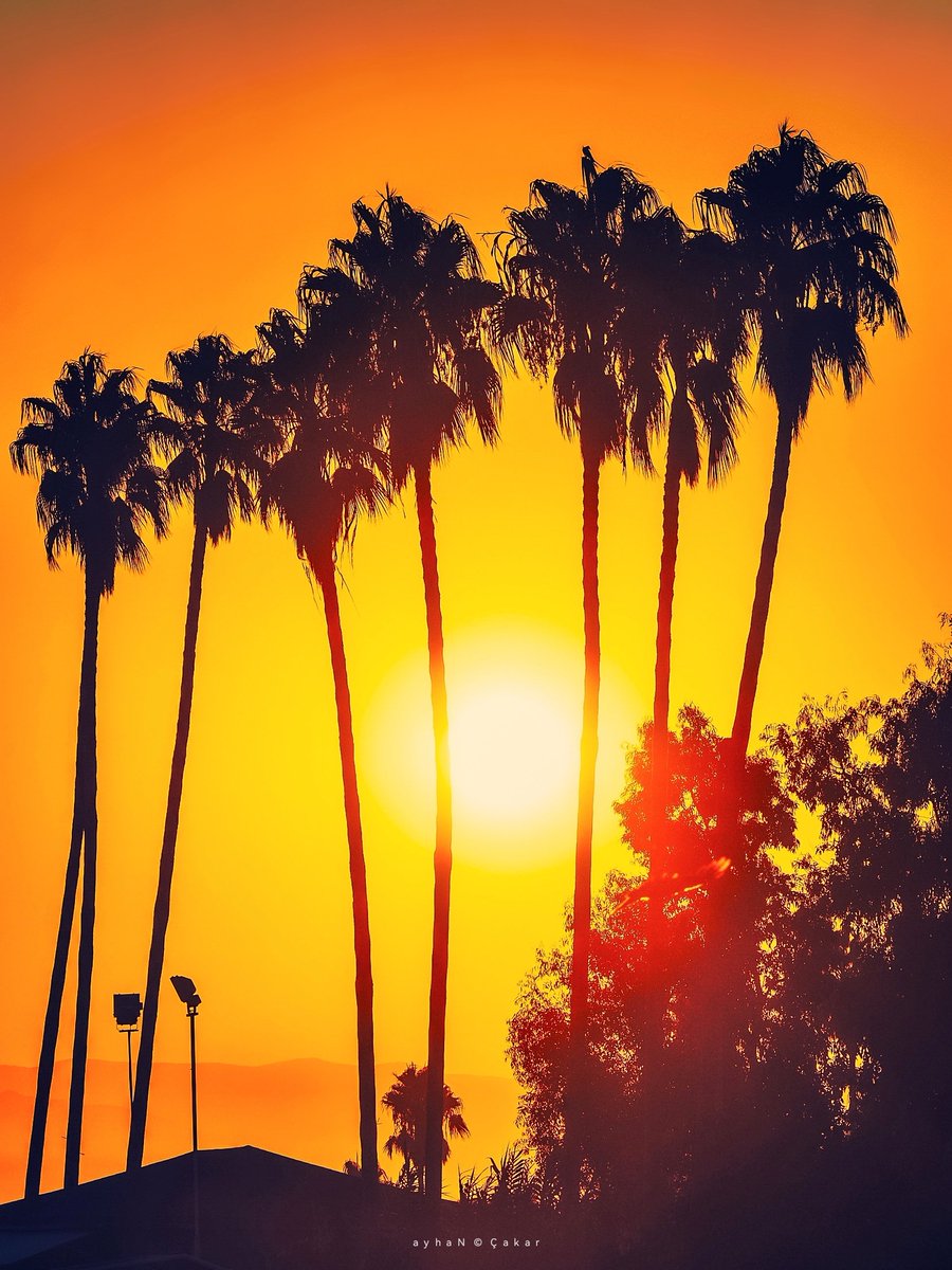 National SUgraphic tweet media