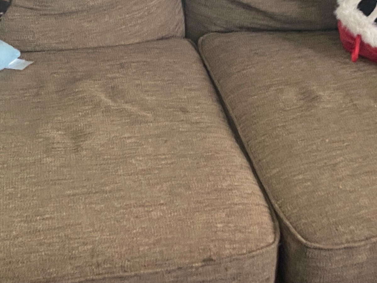 vogel_nolan's tweet photo. @JDVance rate my couch cushion out of 10 please? https://t.co/zHZWGNMu6k