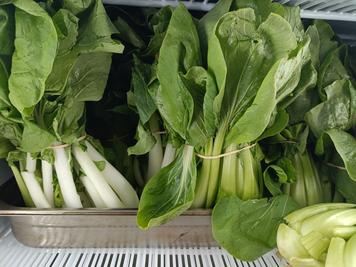 Matt Brann tweet media