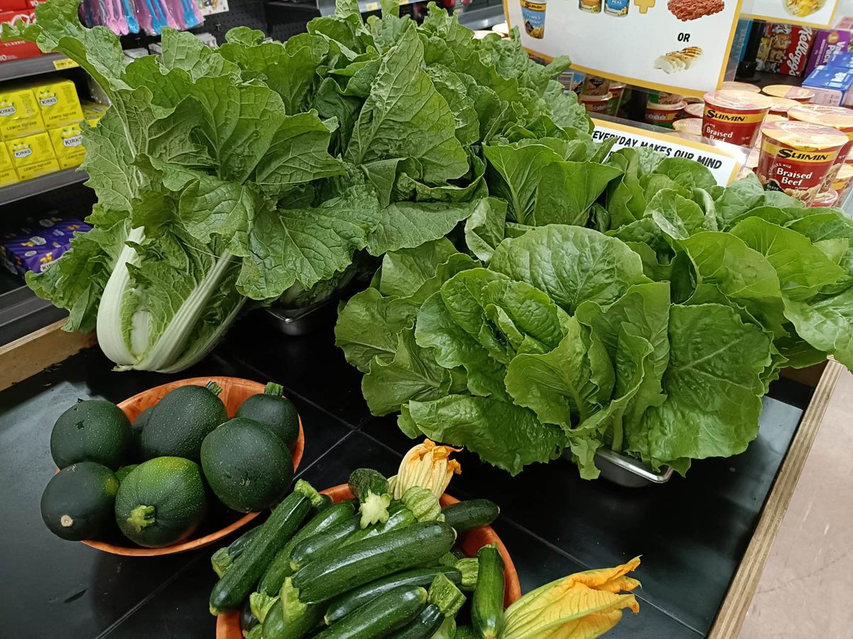 Matt Brann tweet media