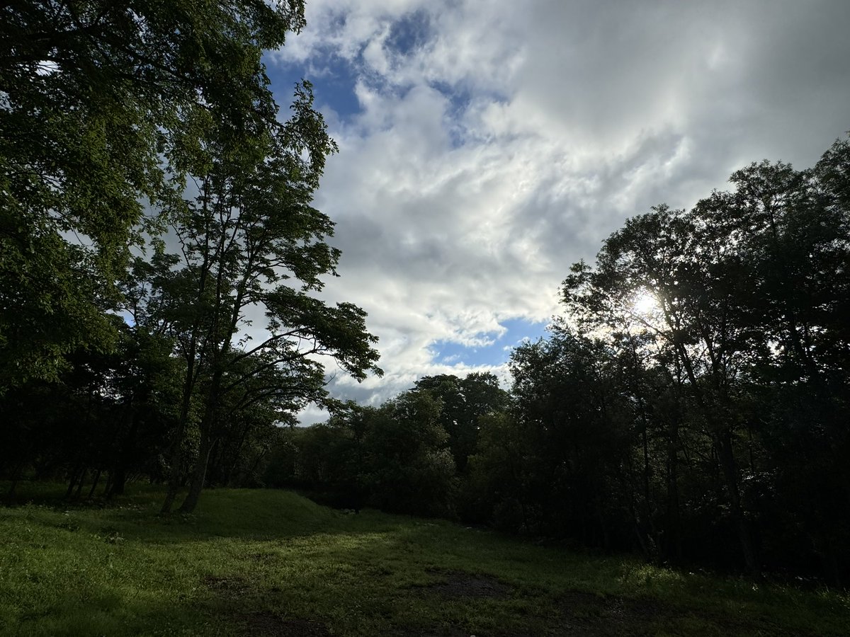 木村琴絵 tweet media