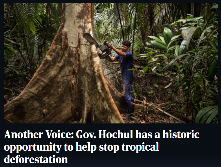 WWF-US Action Team tweet media