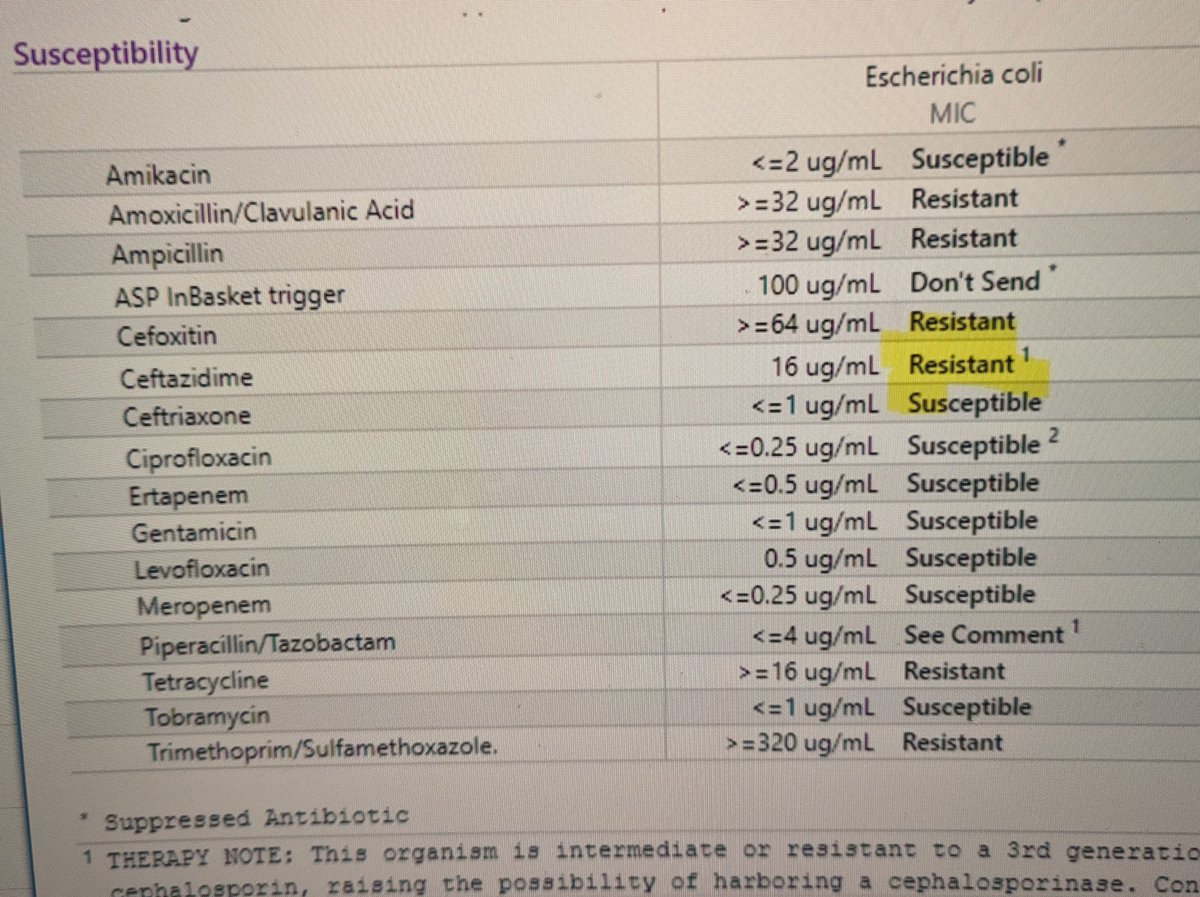 Lina Meng tweet media