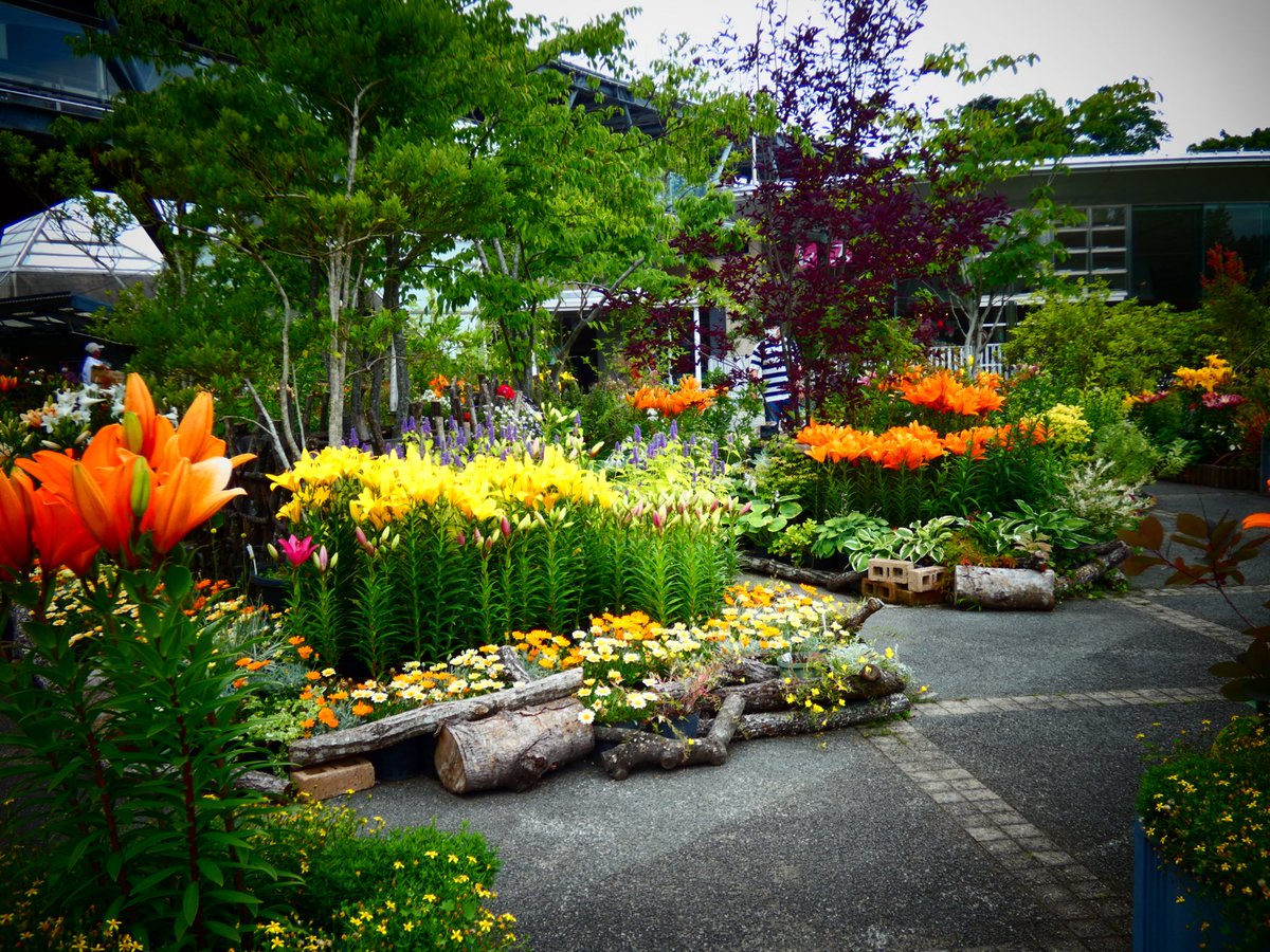 (๓´˘`๓)•*¨おはよう*•.¸¸♬
おはようございます♪

花がいっぱい
花回廊
