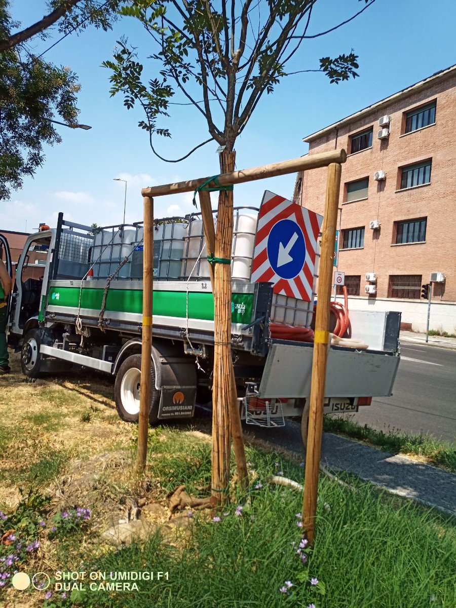 RitaMatt2's tweet photo. #Bologna #22luglio #piantarealberi #verdepubblico #operatoriecologici https://t.co/JxOr93N0XM