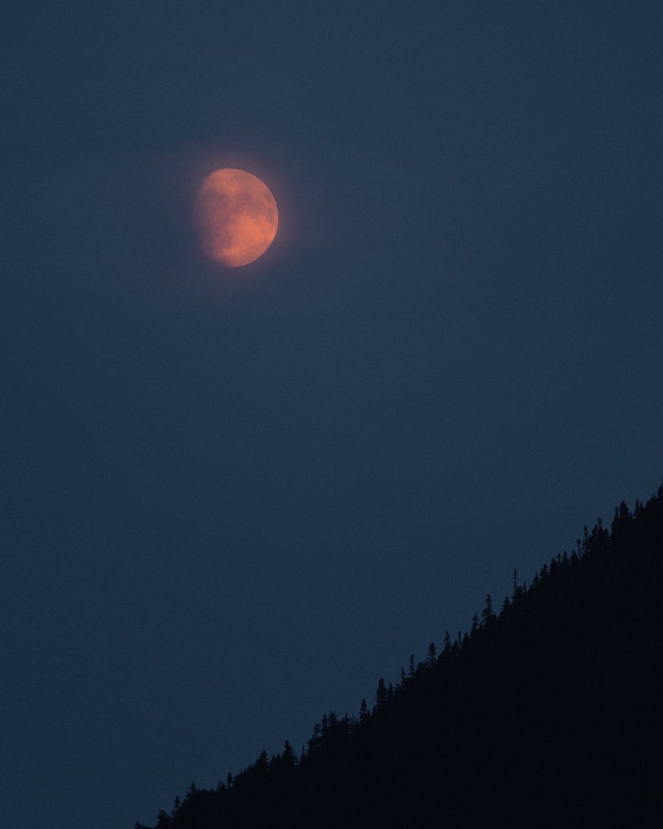 sky_greene's tweet photo. Mountain moon rises in the North Cascades. 
Also trying to incorporate more timelapses at the expense of mosquitos in my shots haha https://t.co/AwwnM4nUzj