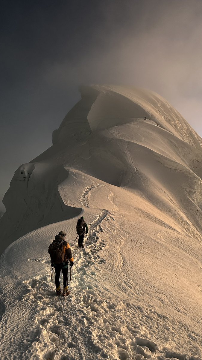 Jenna Dixon tweet media